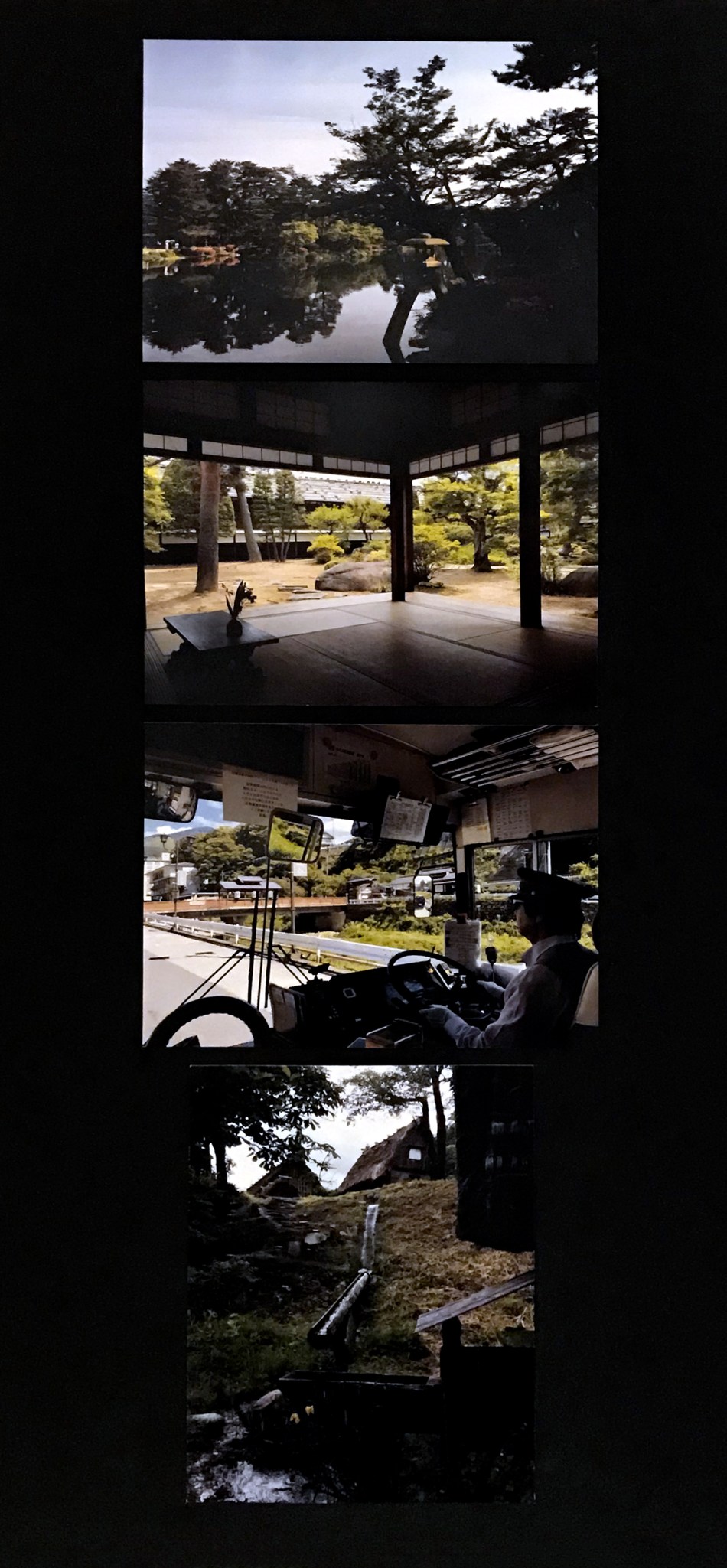 10) IJ_TheGreenestGreen